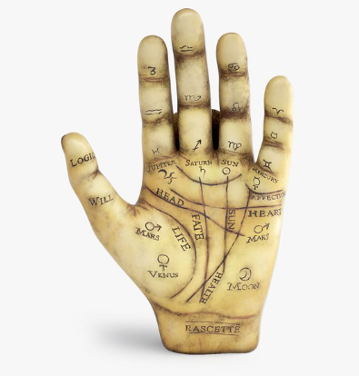 Palmistry Analysis